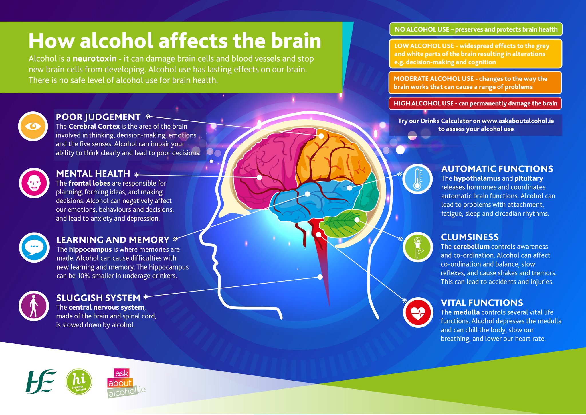 Alcohol's Impact on the Immune System and Brain